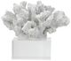 A & B Home Clear/White Inna Faux Rising Coral-4