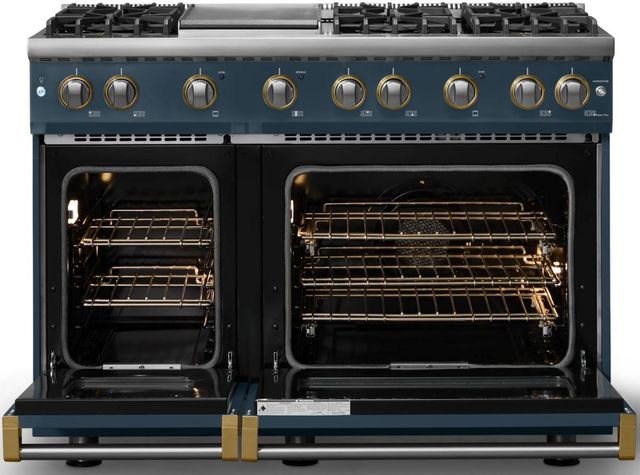 Viking® 5 Series 48" Squall Pro Style Gas (LP) Range with Brushed Brass Trim-1