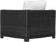 Enclover Trillium Black/White Club Chair-3