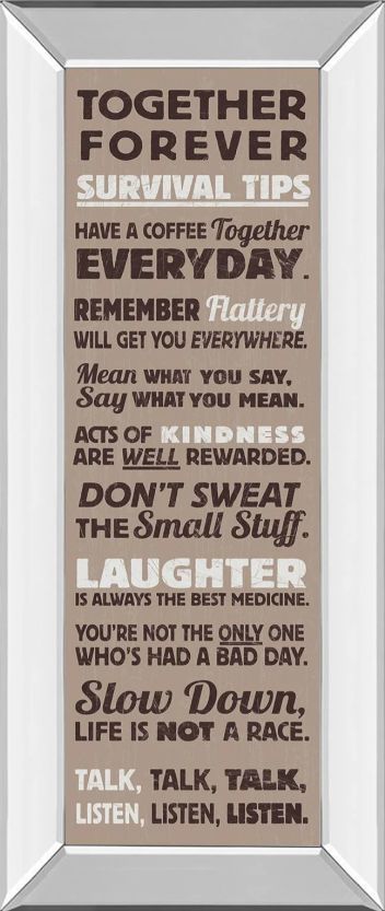 Classy Art Survival Tips I by the Vintage Mirror Framed Wall Art-0