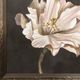 StyleCraft Willow Blossom II Cream Wall Art-1