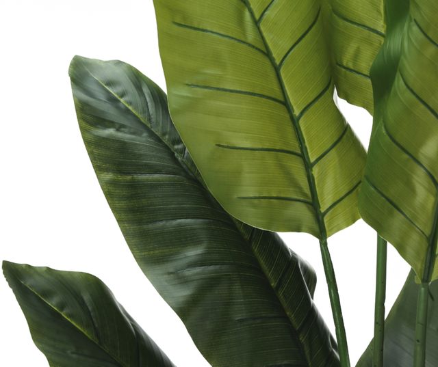 Monarch Specialties Inc. Green/Black 59" Artificial Potted Strelitzia Tree-2