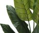 Monarch Specialties Inc. Green/Black 59" Artificial Potted Strelitzia Tree-2