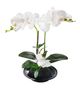 A & B Home White Real Touch Orchid with Ceramic Dish-1