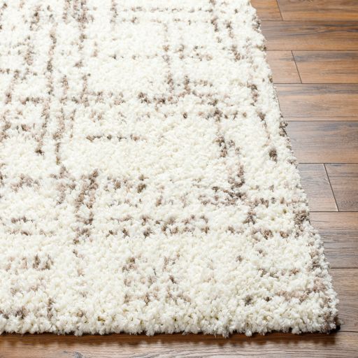 Surya Ultra Shag Beige 5'x7' Area Rug-1