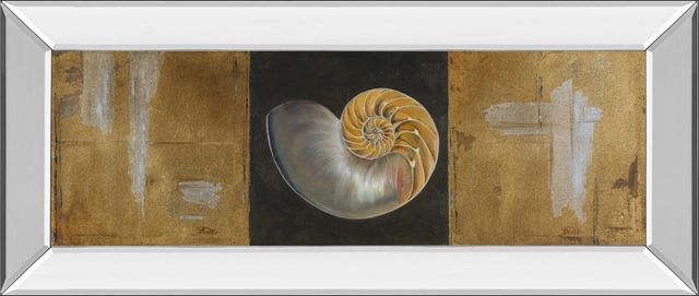 Classy Living Patricia Pinto Seashells Il Wall Art-0