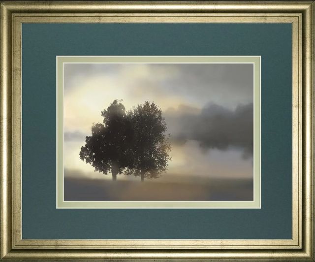 Classy Art Misty Morning by Nan Framed Wall Art-0