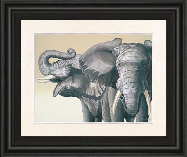 Classy Art Elephant by Peter Moustakas Framed Print Wall Art-0