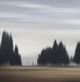 Stylecraft New Day I Black/Brown/Gray Wall Art-1