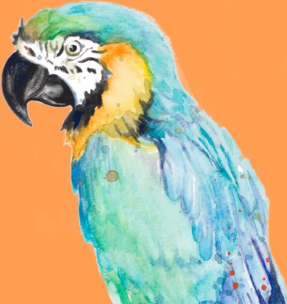 Classy Art Parrot Portrait by Patricia Pinto Wall Art-1