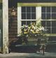 Stylecraft Black/Blue/Dark Brown/White/Yellow Wall Art-1