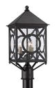 Currey & Company Ripley Midnight Small Post Light-1
