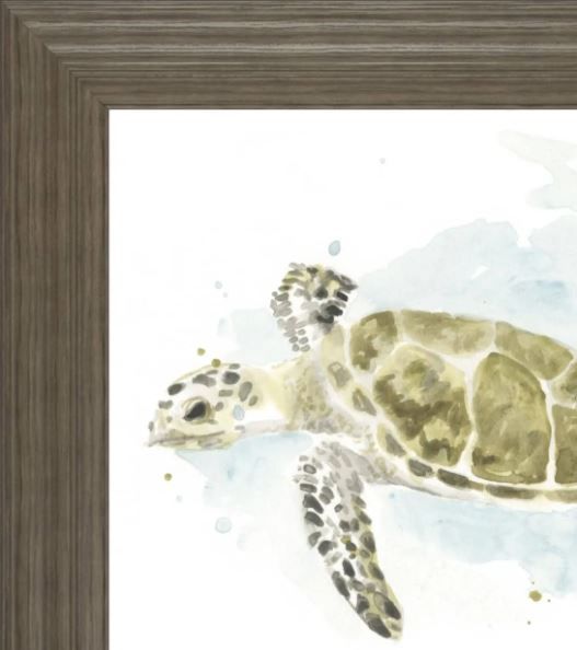 Classy Art Watercolor Sea Turtle Study II by June Erica Vess Wall Art-1