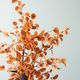 Magnolia Home by Joanna Gaines Light Sienna Eucalyptus Stem-2