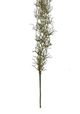 A & B Home Green Air Grass-1