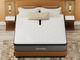 Nealden Plush Split Head Queen Mattress-2