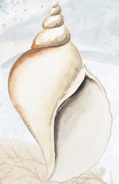 Classy Art Ocean Oasis Tropical Seashell I by Patricia Pinto Wall Art-1