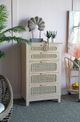 A & B Home Stanislaw Beige Chest-4