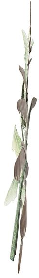 A & B Home Green Banana Leaf-1
