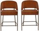 Linon Portland 2-Piece Bronze/Caramel Counter Stool Set-3