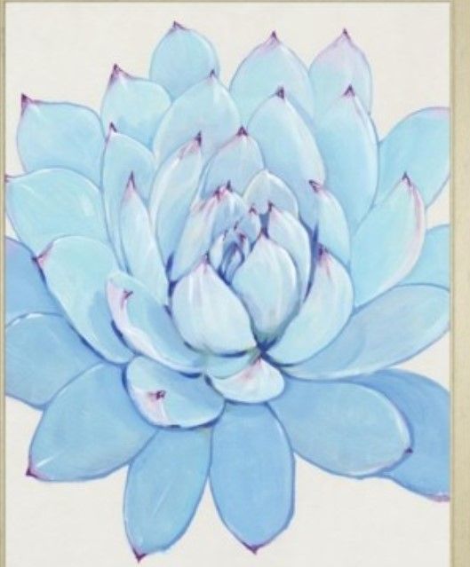 Classy Living Tim OToole Pastel Succulent II Wall Art-2