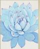 Classy Living Tim OToole Pastel Succulent II Wall Art-2