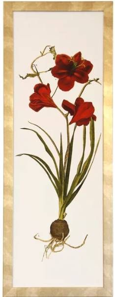 Stylecraft Brown/Green/Off-White/Red Wall Art-0