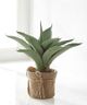 Giftcraft Brown/Green Decorative Plant with Planter-0