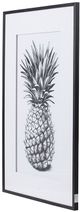 A & B Home Black/White Framed Pineapple Print-1