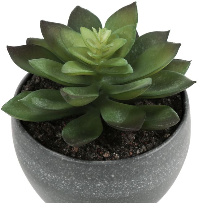 Monarch Specialties Inc. 3-Piece Grey 6" Tall Artificial Potted Succulent-3