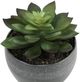 Monarch Specialties Inc. 3-Piece Grey 6" Tall Artificial Potted Succulent-3