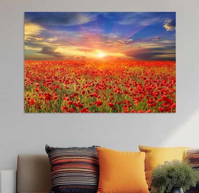 YHD All the Poppies Wall Art-1