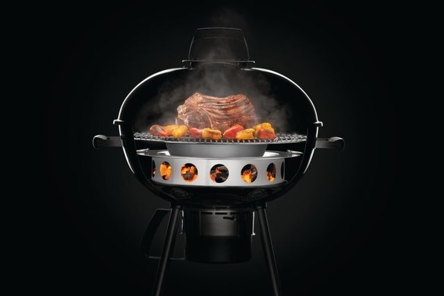 Napoleon Stainless Steel Charcoal Ring and Diffuser Plate-1