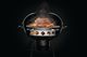 Napoleon Stainless Steel Charcoal Ring and Diffuser Plate-1