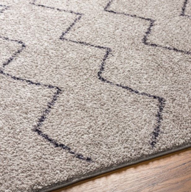 Surya Lykke Gray 4'x6' Area Rug-4