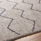 Surya Lykke Gray 4'x6' Area Rug-4