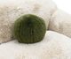 Furniture of America® Darwen Sand Loveseat-4