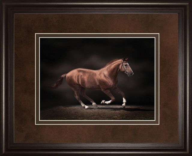 Classy Living Edoma Stallion on Black Wall Art-0