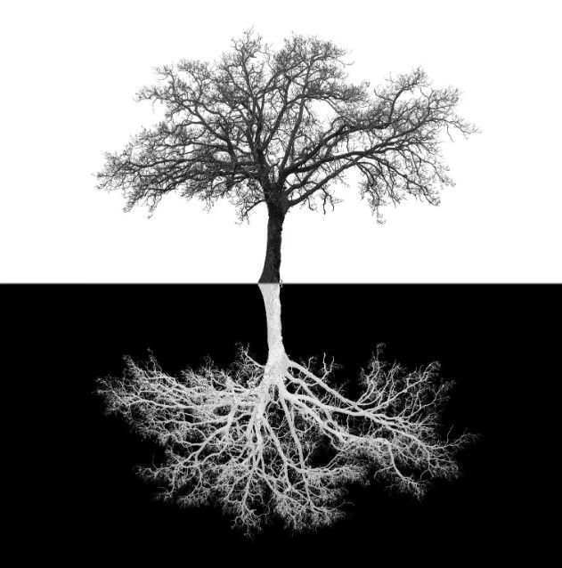 Classy Art Black/White Inverse Tree Wall Art-0