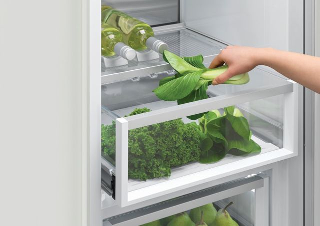 Fisher & Paykel Series 9 24" 10.8 Cu. Ft. Panel Ready Built-In Column Refrigerator-2