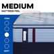 Sealy® Posturepedic® Pro Indianapolis 15" Wrapped Coil Medium Euro Pillow Top Queen Mattress-5
