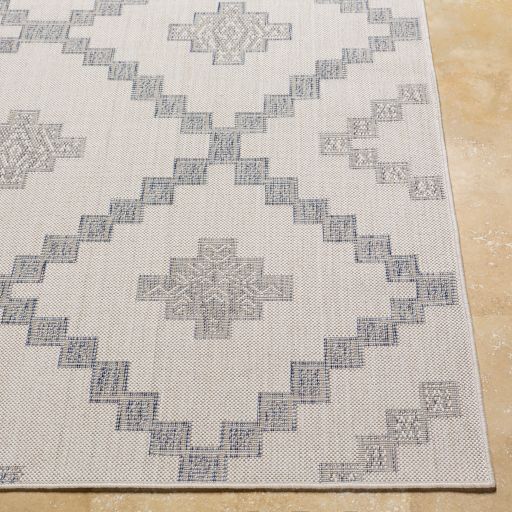 Surya Tuareg Blue/Off-White 8'x10' Area Rug-1