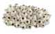 Currey & Company Sulawasi Antique White Shells-0