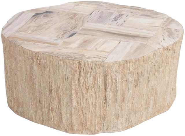 Classic Home Messi Coastal Birch Coffee Table-2