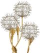 Currey & Company Dandelion Silver/Gold Table Lamp-1