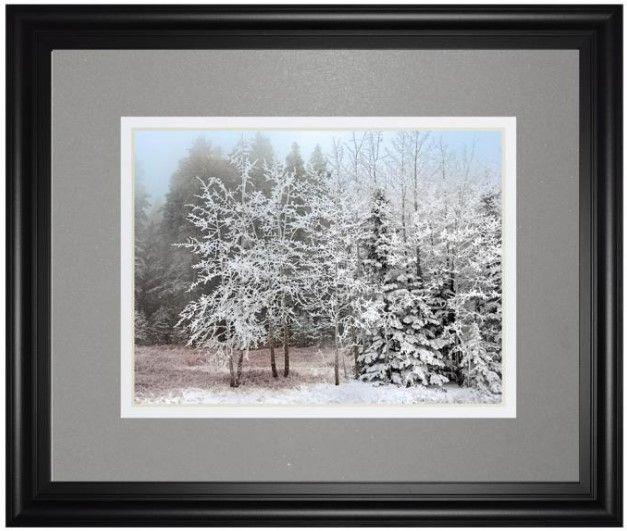 Classy Living Mike Jone Frosty Morning Wall Art-0
