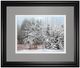 Classy Living Mike Jone Frosty Morning Wall Art-0