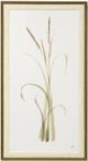 Stylecraft Lyme Grass Beige/Brown Wall Art-0