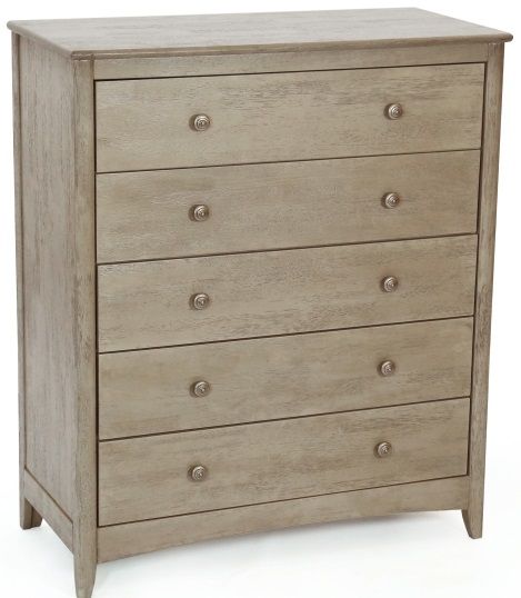 Night & Day Furniture™ Chesapeake Secrets 2 Cases Brushed Driftwood Drawer Chest-0