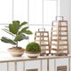K & K Interiors 24 Inches Fiddle Fig Tree-1